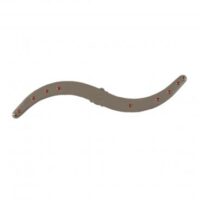 Whirlpool Dishwasher Lower Spray Arm Assembly. Part #WPW10195598